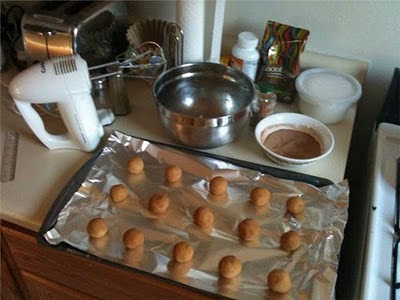 Not-yet-baked Snickerdoodles