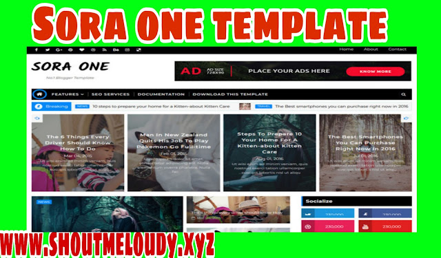 Sora one blogger template