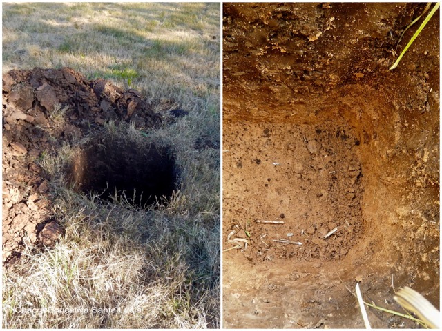 Calicata en el suelo de la Chacra - Chacra Educativa Santa Lucía