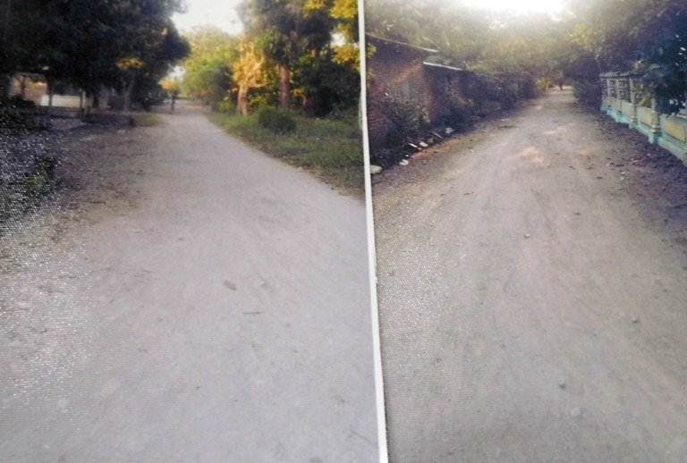 Profil Desa Kauman Ngawi