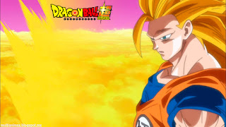 dragon ball super