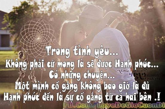  Giay dan tuong 