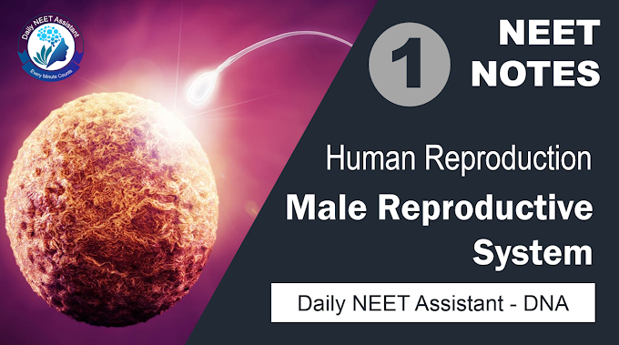 HUMAN REPRODUCTION NOTES BIOLOGY | CLASS XII