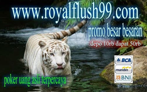 WWW.ROYALFLUSH99.COM