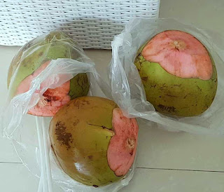 kelapa wulung untuk ibu hamil