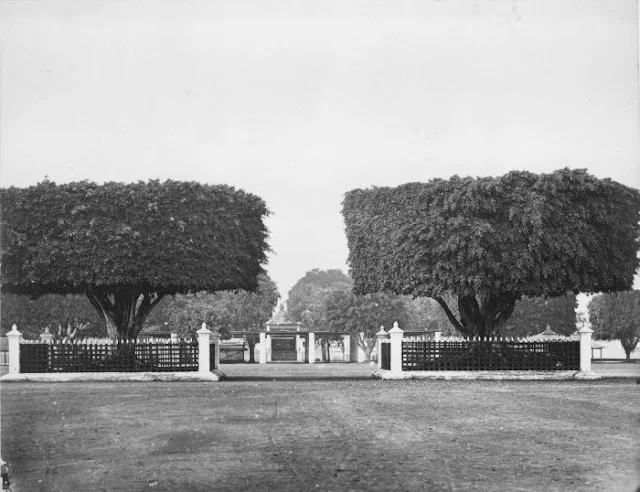 alun-alun jogjakarta