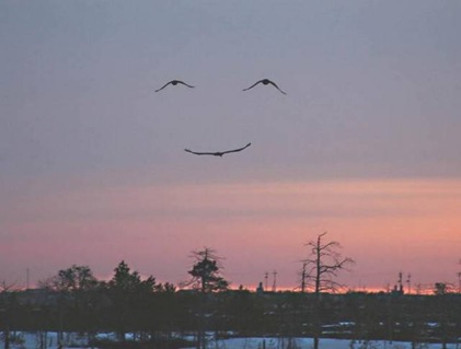 la sonrisa de Dios