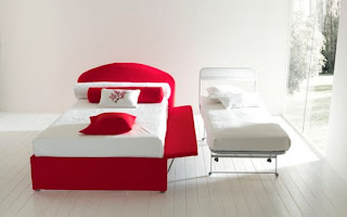 Modern Sleeper Sofas Design Decorate with red color