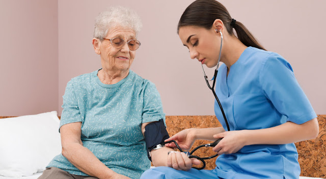 Nursing Care Services Market