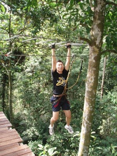 Skytrex Extreme Challenge: Waltzing up the Tree Tops