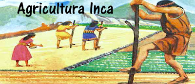 Economía Incaica