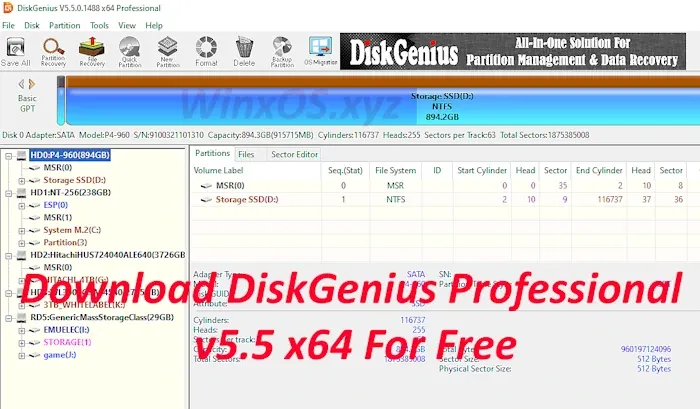 Download DiskGenius Professional v5.5 x64 Paid For Free