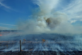 fahren, fahrt, Buschfeuer, Rauch, Feuer, Brand, Australien