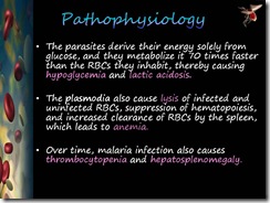 Slide13