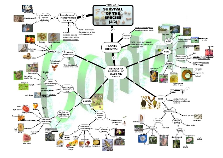 SAINS : SEKOLAH RENDAH: Peta Minda untuk Sains Tahun 5