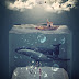 3D Cube Water Photoshop Effect And Manipulation