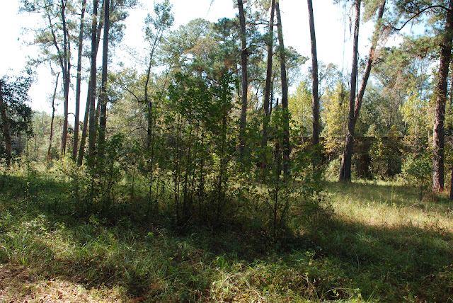 Dupont Park