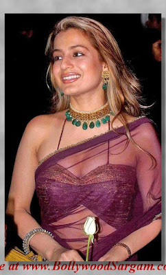 Amisha patel saree