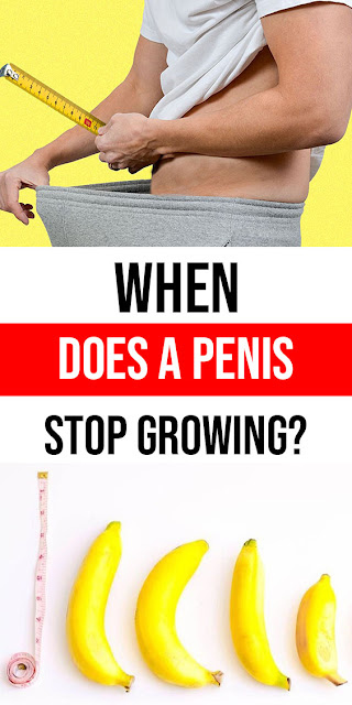 When Does A Penis Stop Growing?