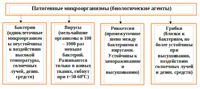 Классификация биологических агентов