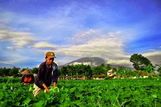 Tempat Wisata Di Kuningan, Jawa Barat 1