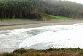 Vista del sector occidental de la playa de Frejulfe
