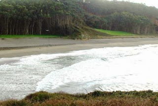 Vista del sector occidental de la playa de Frejulfe