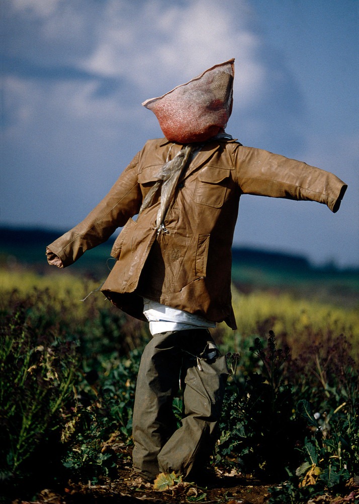 colin-garratt-scarecrows-10