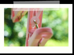 Bokeh at the Background