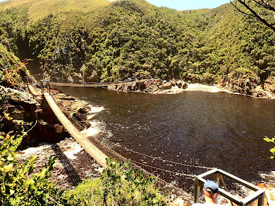 Storms River Suspension Bridge Tsitsikamma National Park Garden Route South Africa