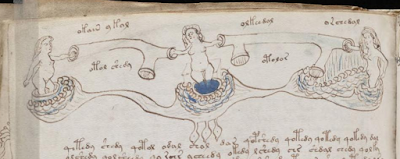 Le manuscrit Voynich