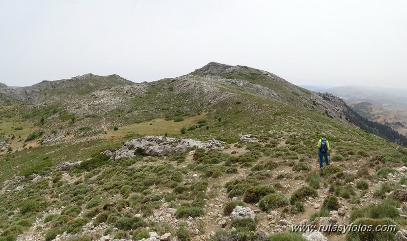 Quejigales-Tajo del Canalizo-Enamorados-Cerro Alto