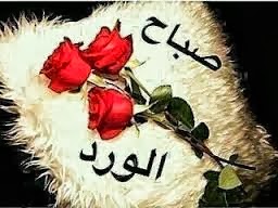 اجمل صور للعبارات صباح الخير 2013 , اجمل واروع صور عبارات مكتوب عليها صباح الورد 2013 اجمل صور للعبارات صباح الخير 2013 , اجمل واروع صور عبارات مكتوب عليها صباح الورد 2013
