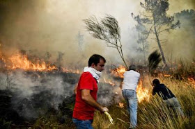 PORTUGAL-FIRE-ENVIRONMENT