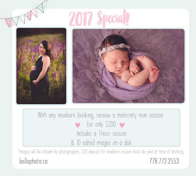 courtenay baby photographer 