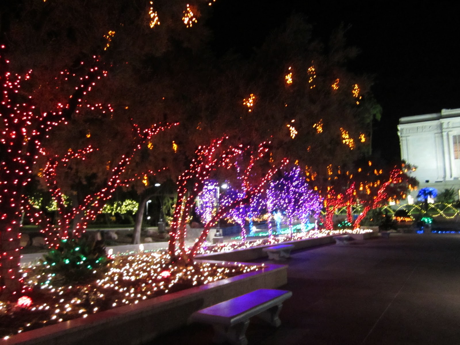 Thanksgiving and Christmas Lights 2012