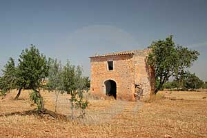 ferinenhaus mallorca