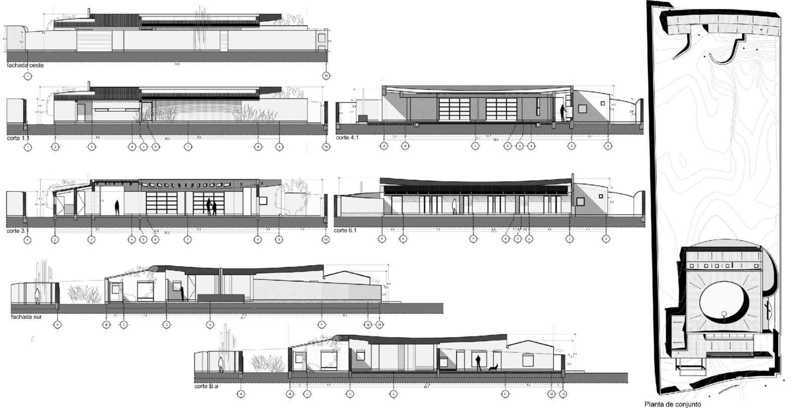 Studio House Sabinos - Juan Carlos Loyo Arquitectura