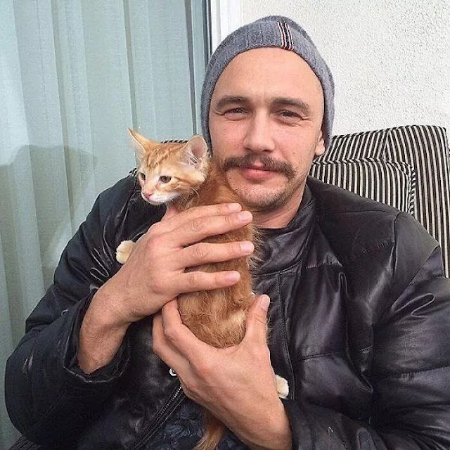 Moments of Hollywood Artists with Favorite Cats