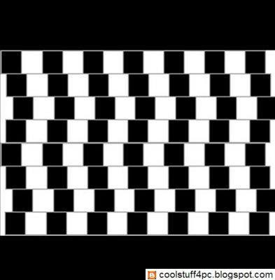 funny optical illusions. funny optical illusions.