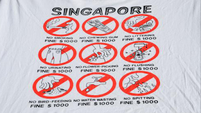 Singapore - The Fine City