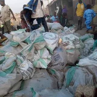 PHOTOS: Rotten bundles of naira notes dumped by river side in Benue