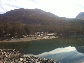 Yosemite National Park Creek