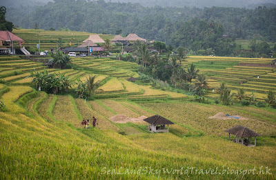 Jatiluwih rice terrace, bali, 峇里