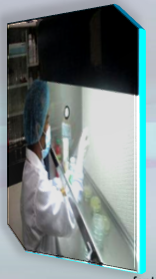 role of qc/qa 