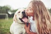 Man's Best Friend: Dogs - The Faithful Companions and Working Partners