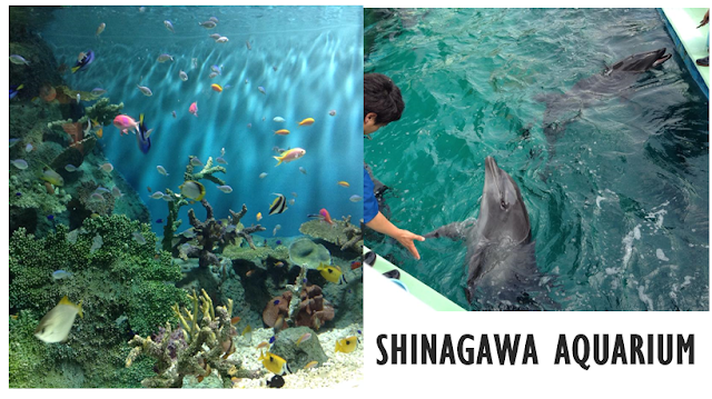 Shinagawa Aquarium
