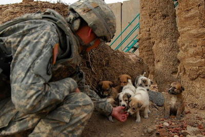 Soldiers with Pets Seen On www.coolpicturegallery.us