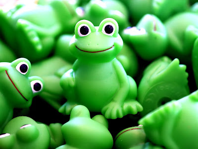 Frog green desktop background wallpapers