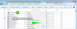 install BRIBME0A.dll in the system folders C:\WINDOWS\syswow64 for windows 64bit
